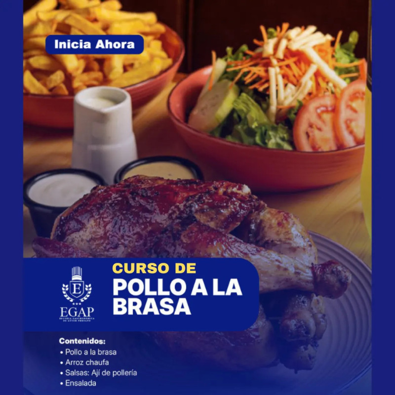 Curso Profesional de Pollo a la Brasa Curso Profesional de Pollo a la Brasa
